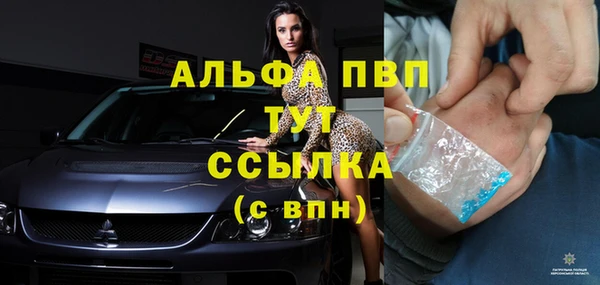 марки lsd Бородино