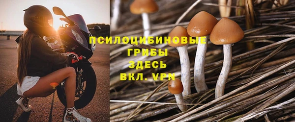 марки lsd Бородино