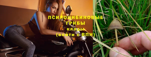герыч Бронницы