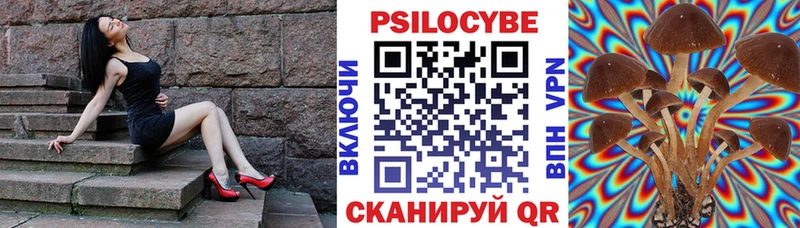 Галлюциногенные грибы Psilocybe  Киржач 